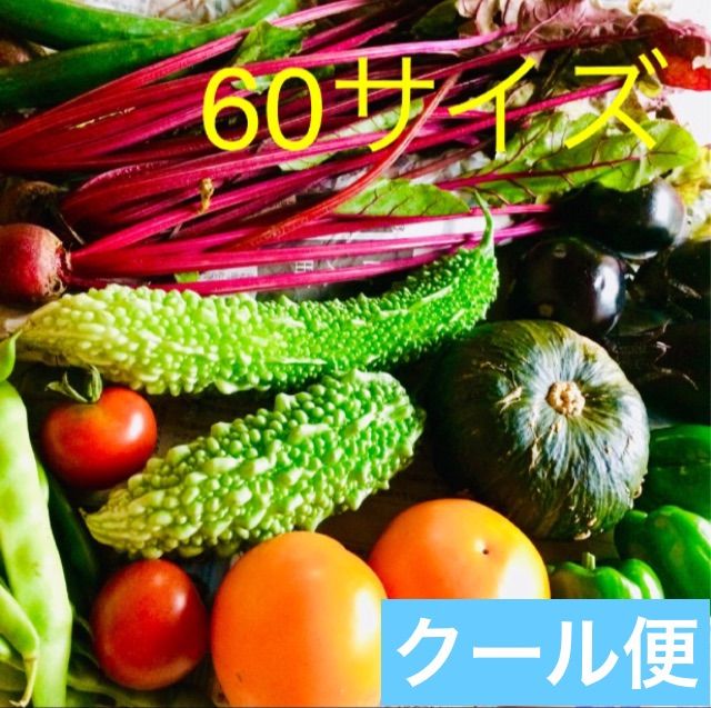 野菜セット❤フルーツパプリカ・ニラ・なす・ピーマン・ししとう⭐農薬