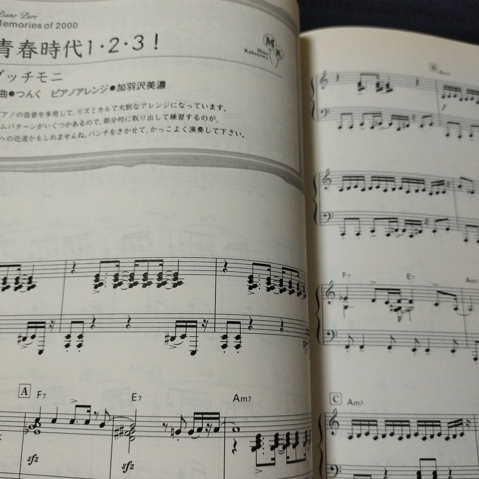 ピアノソロ 加羽沢美濃 ピアノ・ピュアメモリー・オブ・2000 2000年
