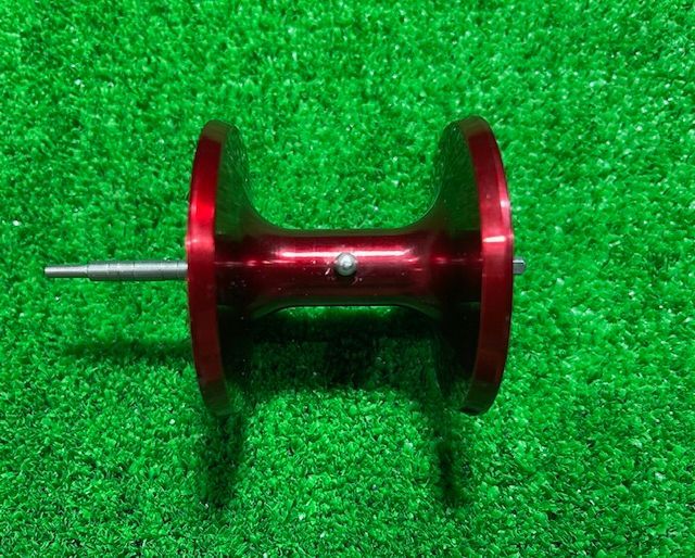 トーナメント石鯛