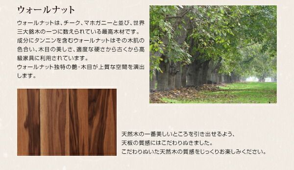 ダイニングテーブル ダイニングセット