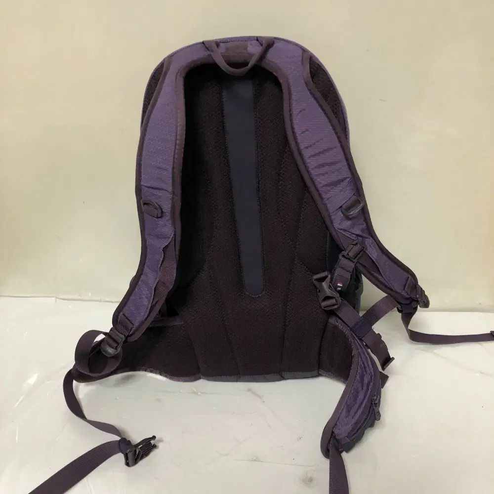 25L