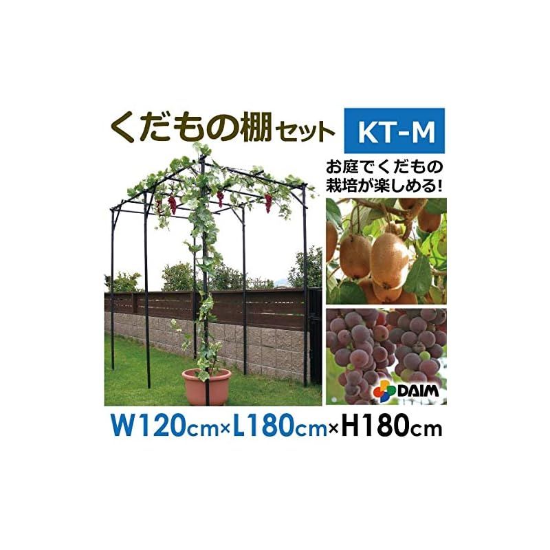 DAIM パーゴラ 果物棚 セット 幅120cm 奥行180cm 高さ180cm 藤棚 葡萄棚 ガーデン ガーデニング 棚 アーチ 園芸 キウイ棚 園芸棚 ぶどう 葡萄架 ぶどう棚 0