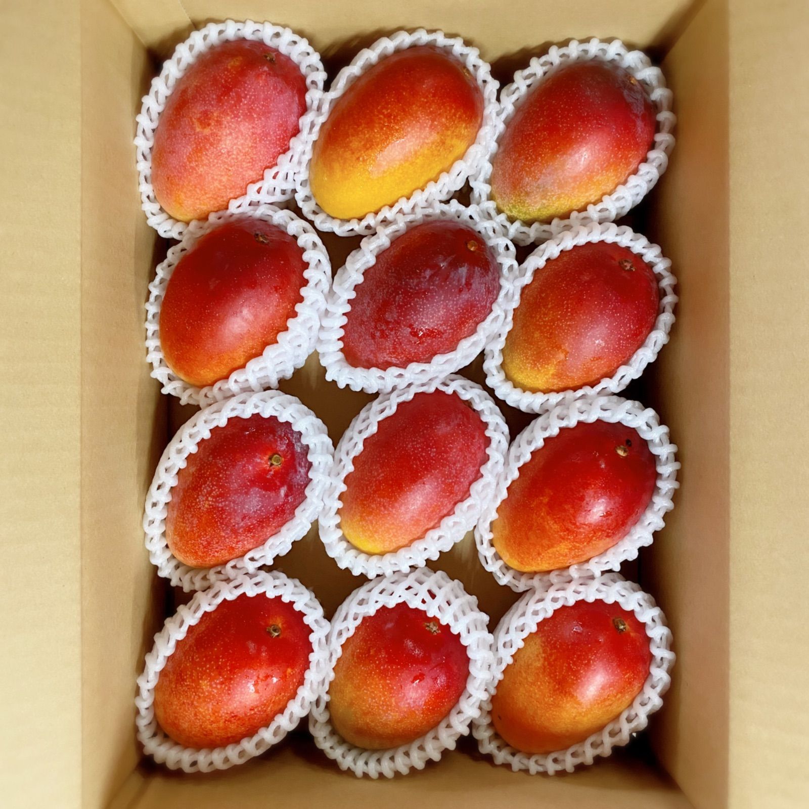 宮崎県産 完熟マンゴー M S サイズ バラ詰め 3kg 冷蔵便