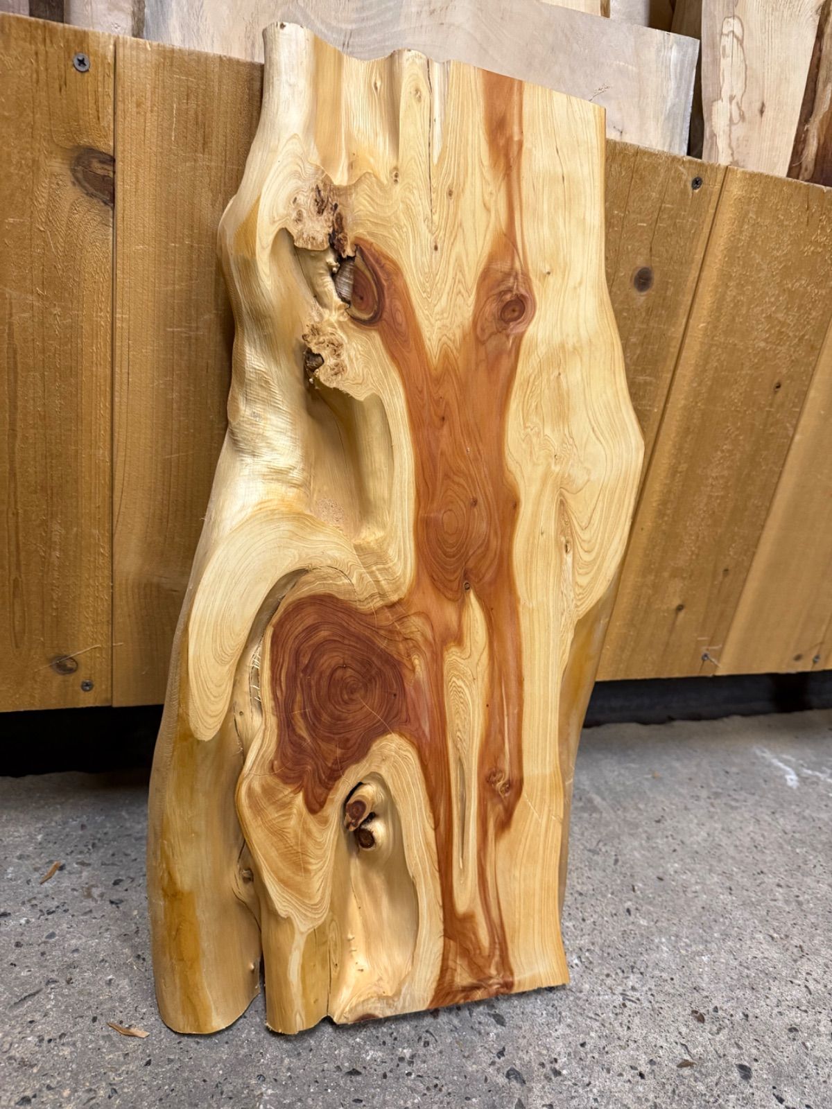 厚くて良形 】貝塚伊吹 カイヅカイブキ 板 一枚板 無垢材 銘木 木工