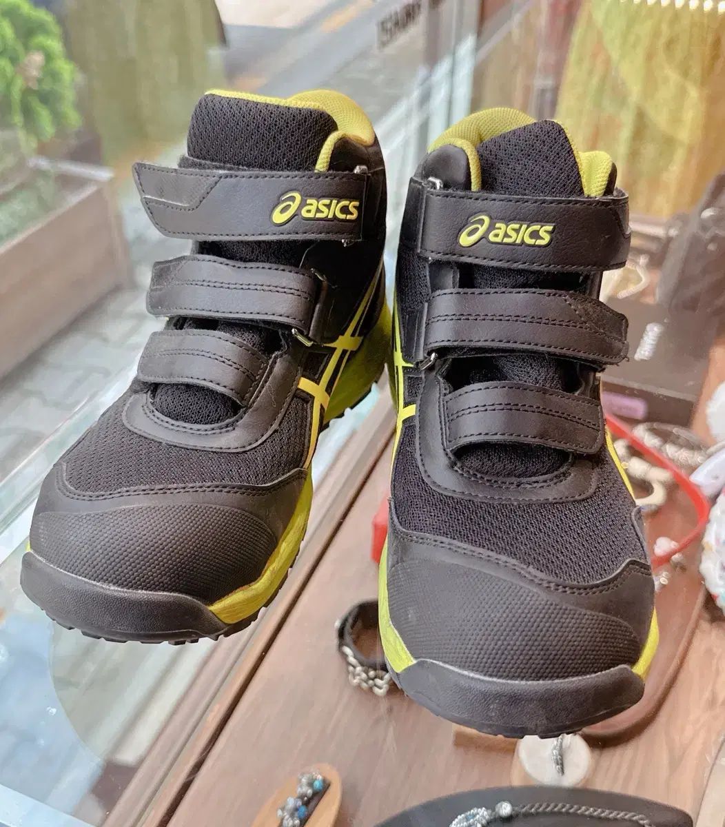 Asics アシックス 安全靴 cp216 235