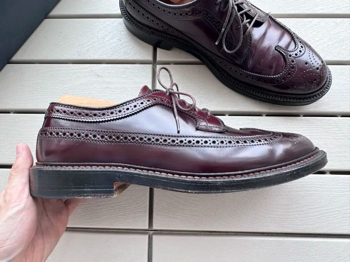 オールデンコードバン 975 ロングウィングチップ【美品】 オールデン