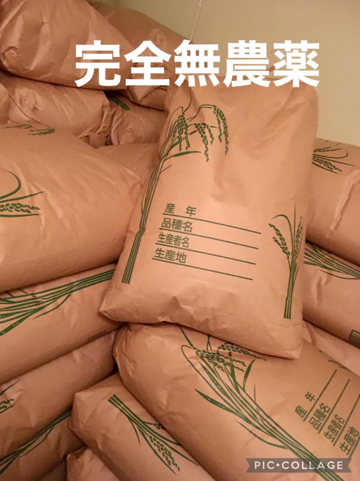 コシヒカリ 5kg 農薬不使用 玄米 国産 農家直送 数量限定 無添加 美容