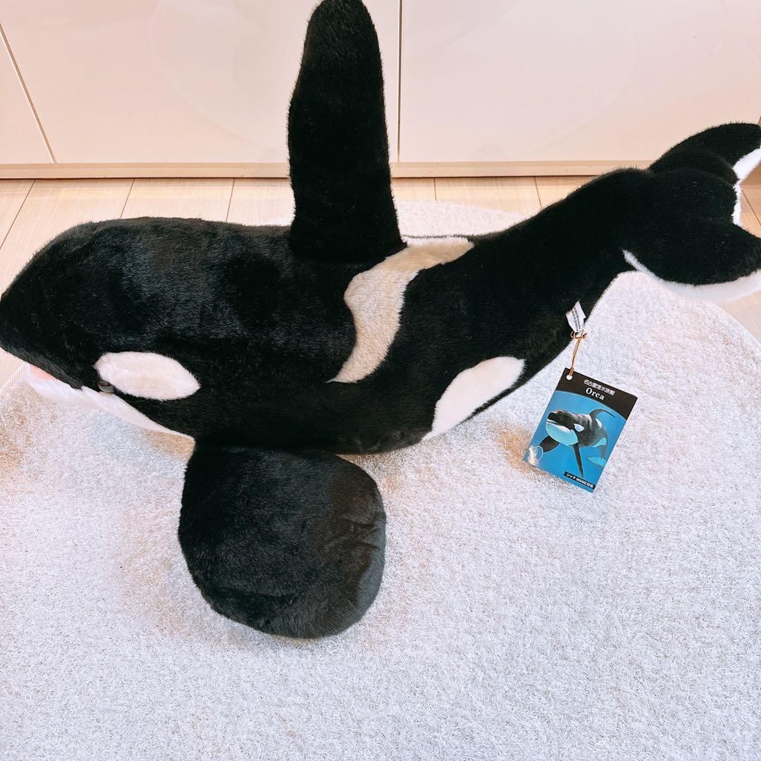 名古屋港水族館 シャチ ぬいぐるみ 特大 - メルカリ