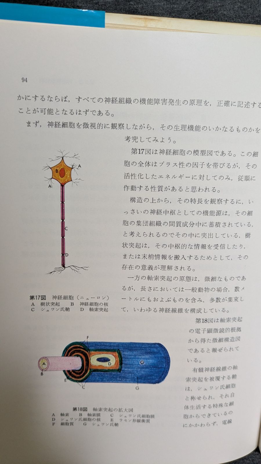 本 四次元病とその癒し 第1巻原理編 (安久津政人/旺