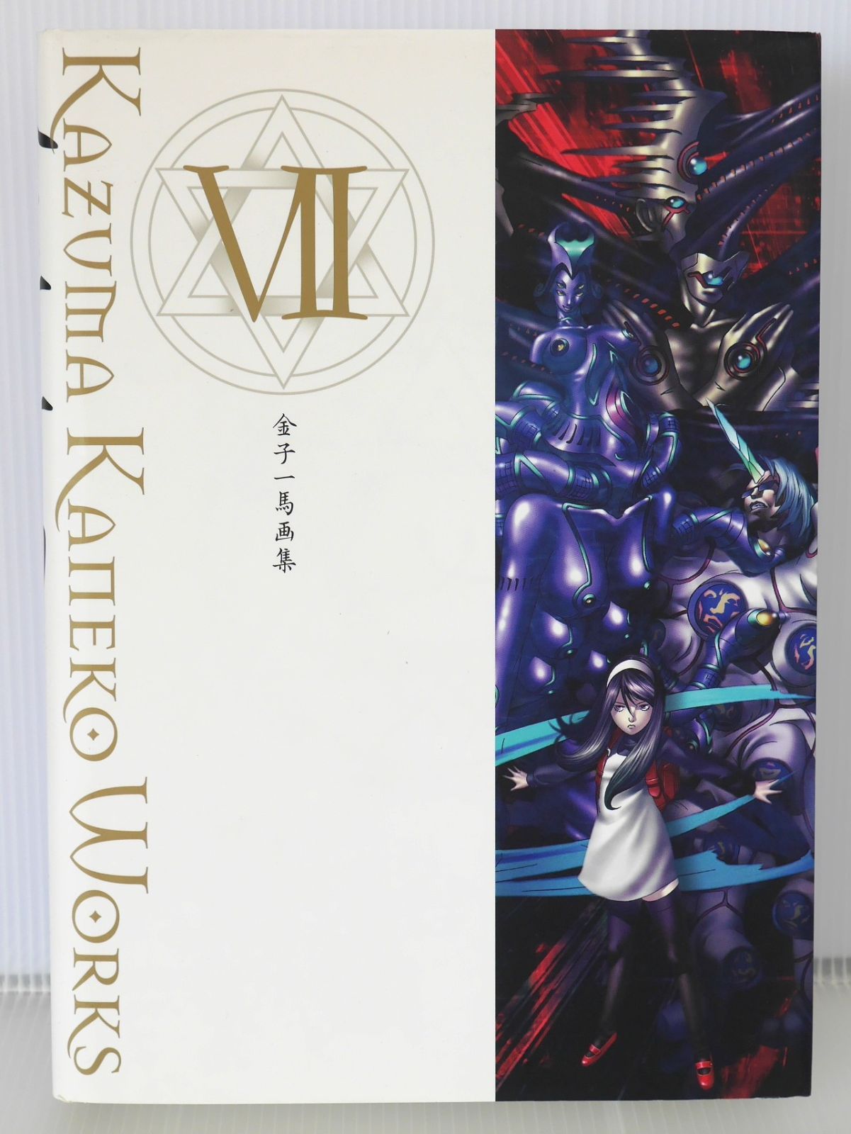 悪魔絵師 金子一馬画集 設定原画集 IX Amazon.com: KAZUMA KANEKO