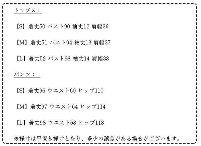 新品 上下セット セットアップ レディース カジュアル 夏 パンツ t