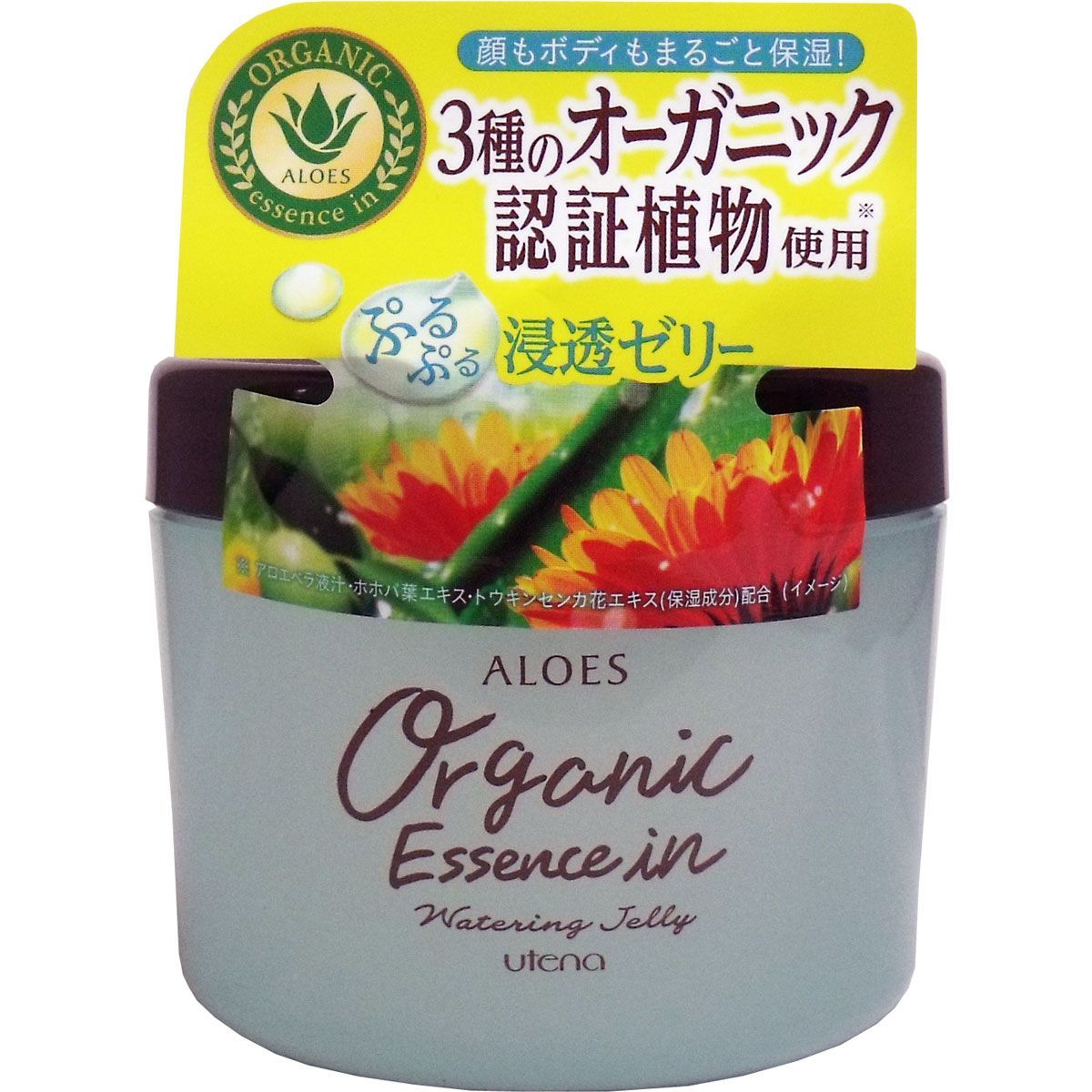 6セット アロエス ウォータリングゼリー ２３０ｇ