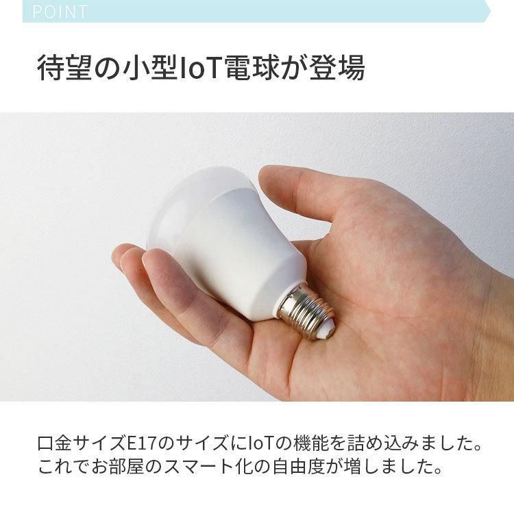 4球セット