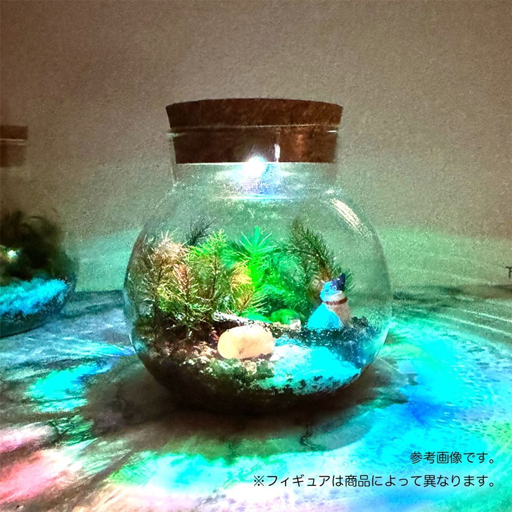 苔テラリウムキット LEDライト カワウソ フィギュア付き 10cm