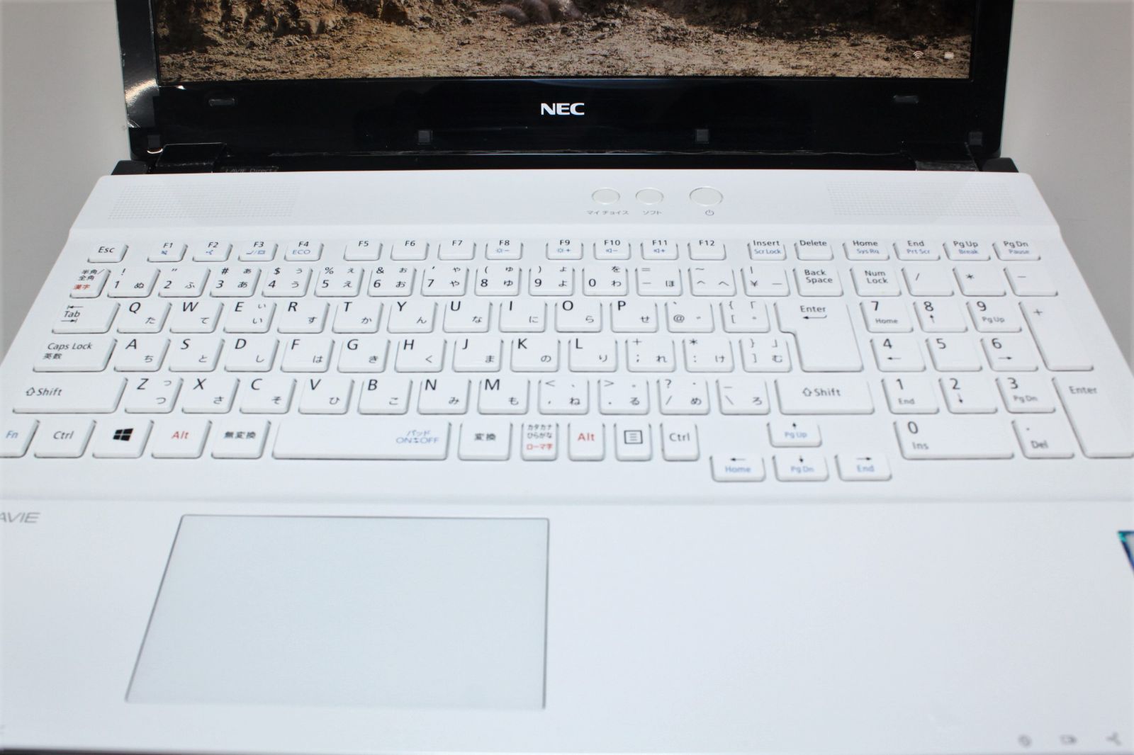 NEC/LAVIE/PC-GN276FRAA/Win11/Intel Core i7-7500U/SSD512GB/メモリ