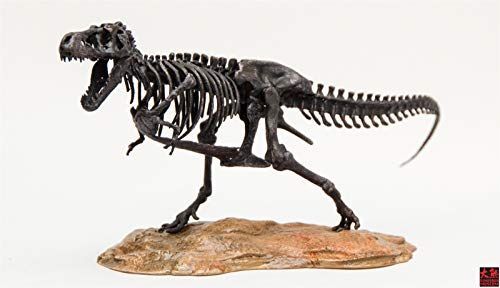Amazon.com: VWUVWU 1:20 Scale Tyrannosaurus Skeleton Figure