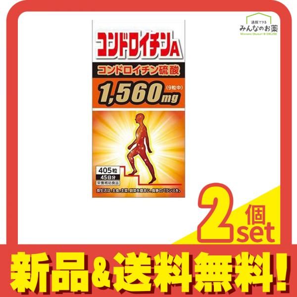 パキポディウムグラキリス6 実生6年目