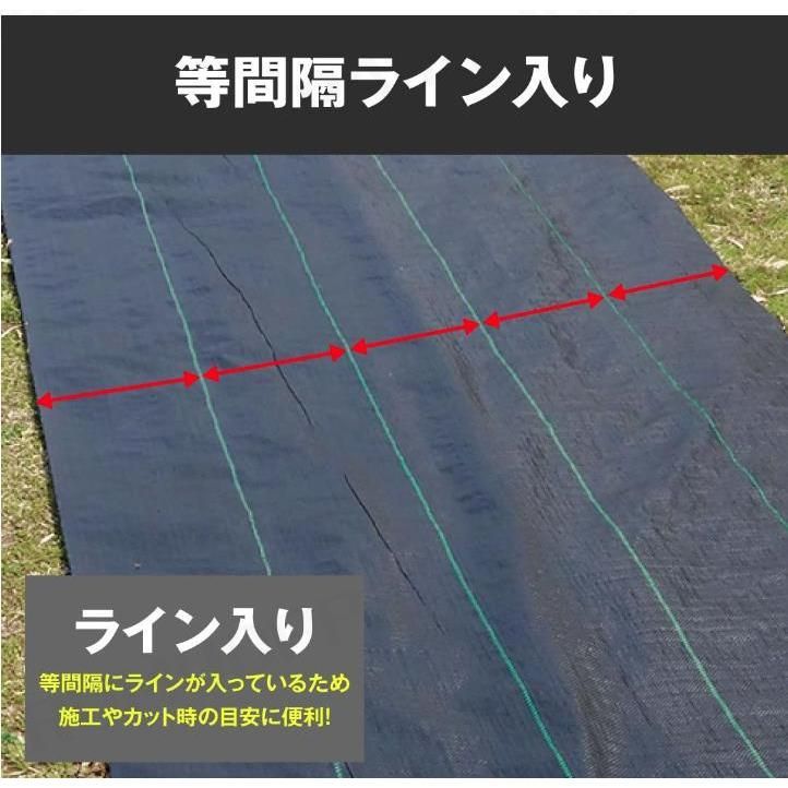 雑草シート