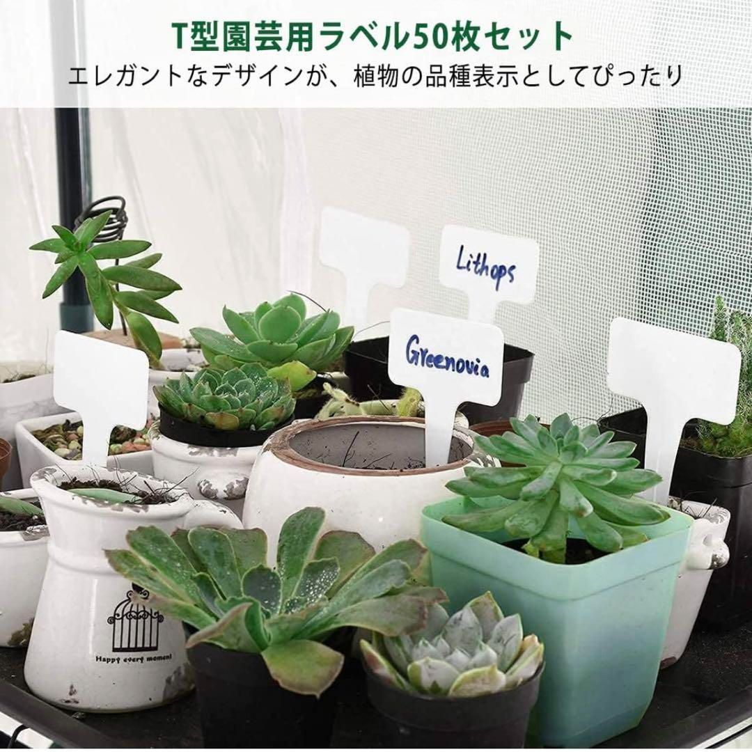 ビニールハウス