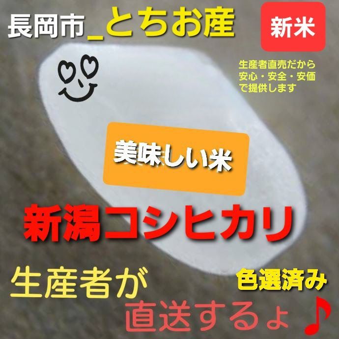 新米20㎏】令和５年産 新潟コシヒカリ(長岡市_とちお産_希少)箱込み総