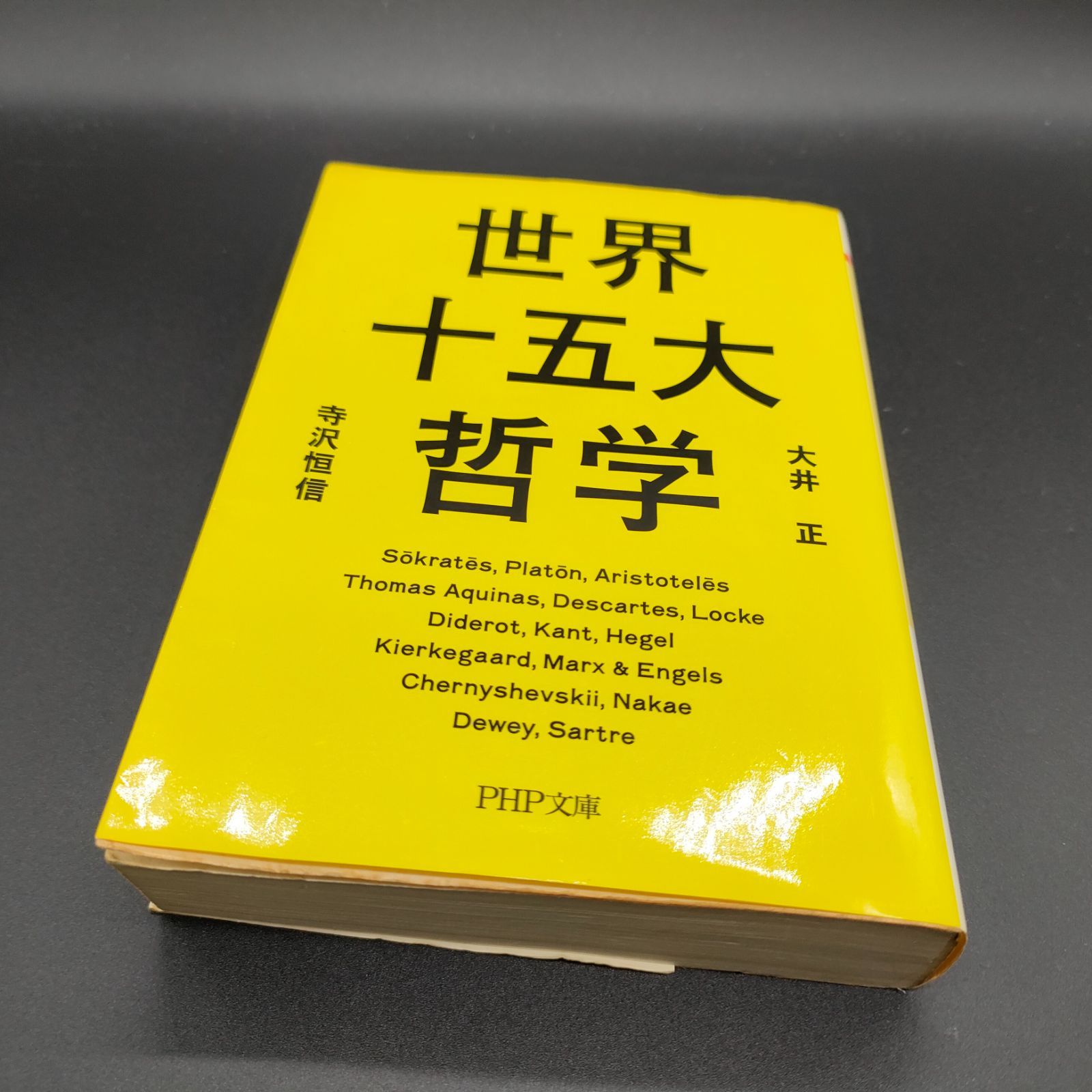 哲学まとめ売りセット 哲学][入門] 世界十五大哲学 (PHP文庫) 大井 正 (著), 寺沢 恒信 (著