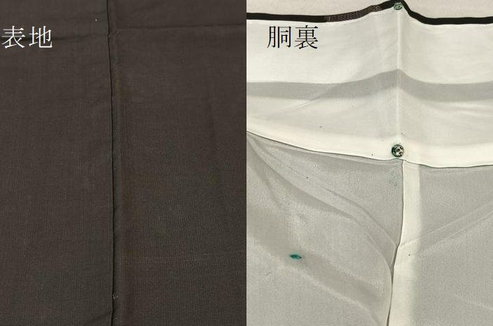 平和屋着物○本場大島紬 9マルキ 地空き 成物に夏虫 黒地 正絹 逸品 未  