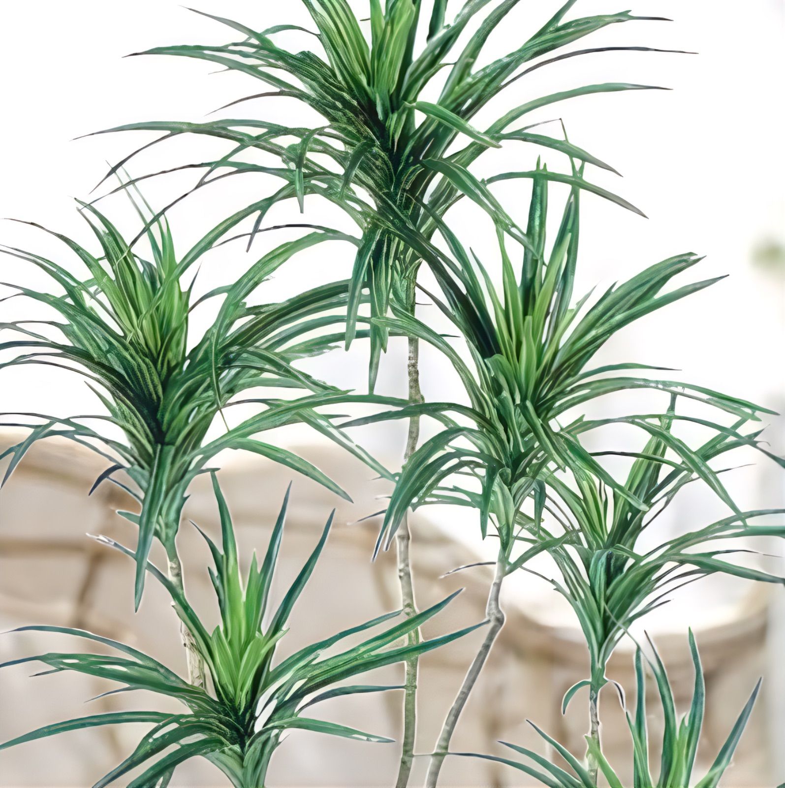 光触媒　人工観葉植物　ウォールグリーン　フェイクグリーン　コンシナトリコロル14 光触媒 人工観葉植物 ウォールグリーン フェイクグリーン コン