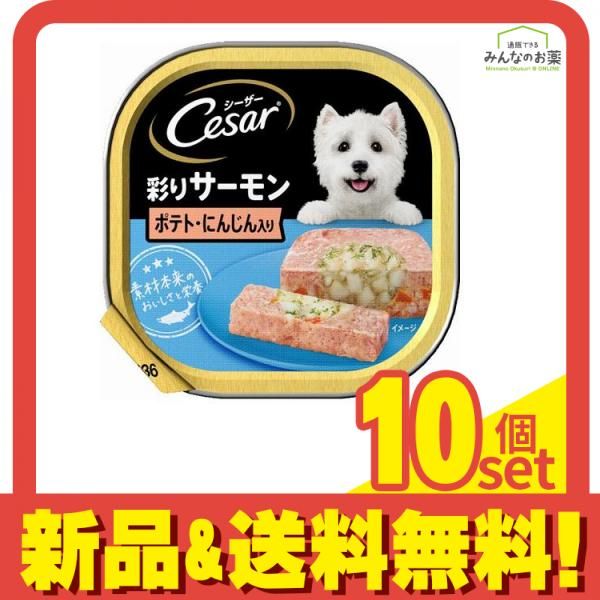 シーザー トレイ 彩りサーモン ポテトとにんじん入り ふわふわローフタイプ 100g 10個セット