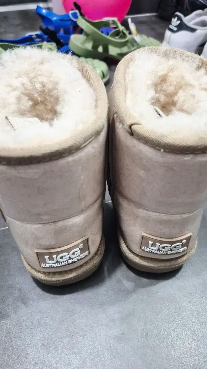 クリアアグ 29- クリームチェスナット