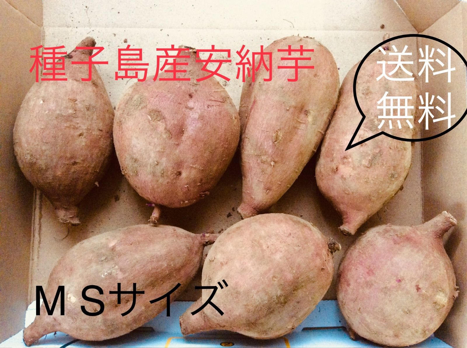 種子島産安納芋　2Sサイズ10kg サツマイモ　栽培期間中農薬不使用　☆☆☆2