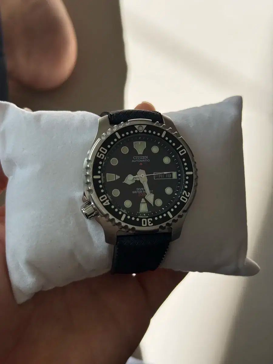 CITIZEN シチズン フグ ny 0040 ジョセフ ボニー ストラップ