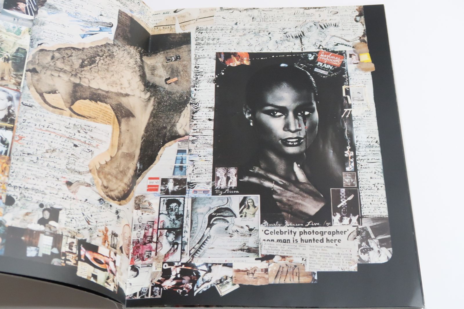 Peter Beard 28 pièces Galerie Kamel Mennour ピーター ビアード 28点 パリのガレリー カメル メンヌールでの展覧会に合わせて出版