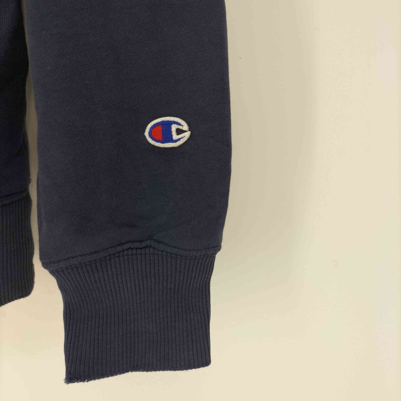 00s Champion 復刻トリコタグ フロッキースウェット M チャンピオン Champion 現行 復刻 トリコタグ フロッキー