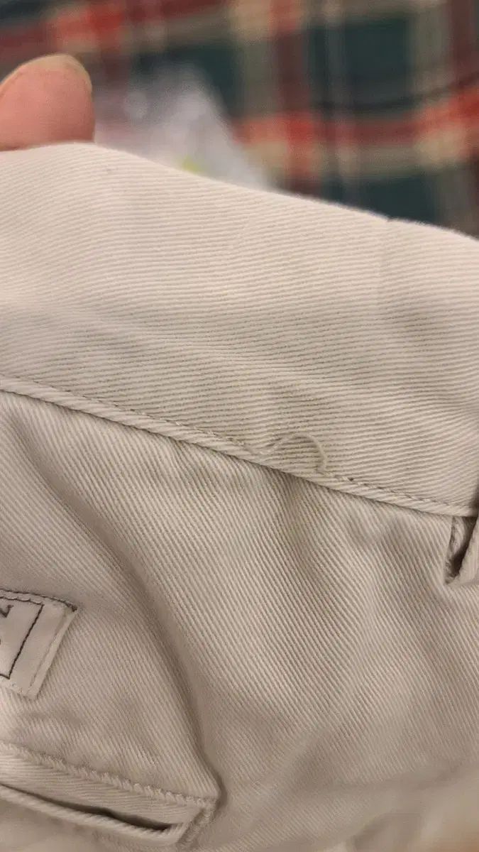 ポロ アンドルーチーノパンツ