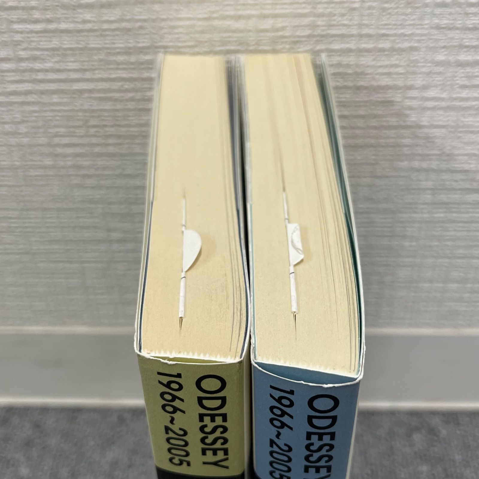 NPA】岡田史子 作品集 ODYSSEY オデッセイ 1966-2005 2種 ガラス