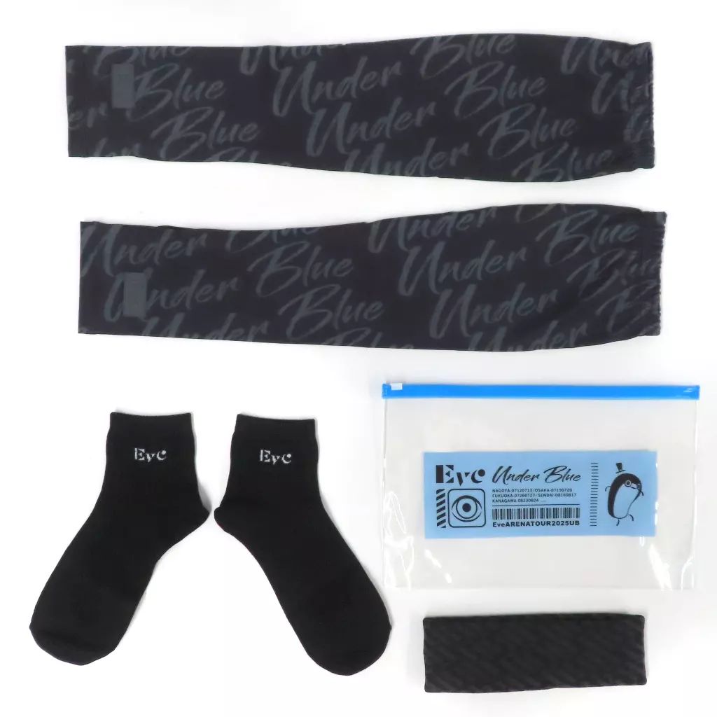 Eve ライブグッズ詰め合わせ Under Blue Eve Official on X: 