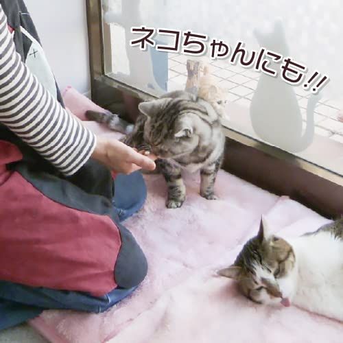 Zoot（ズ～ット） Ⅱ型コラーゲン プロテオグリカン配合 大容量300粒 ニチニチ製薬 ペット用乳酸菌サプリメント 