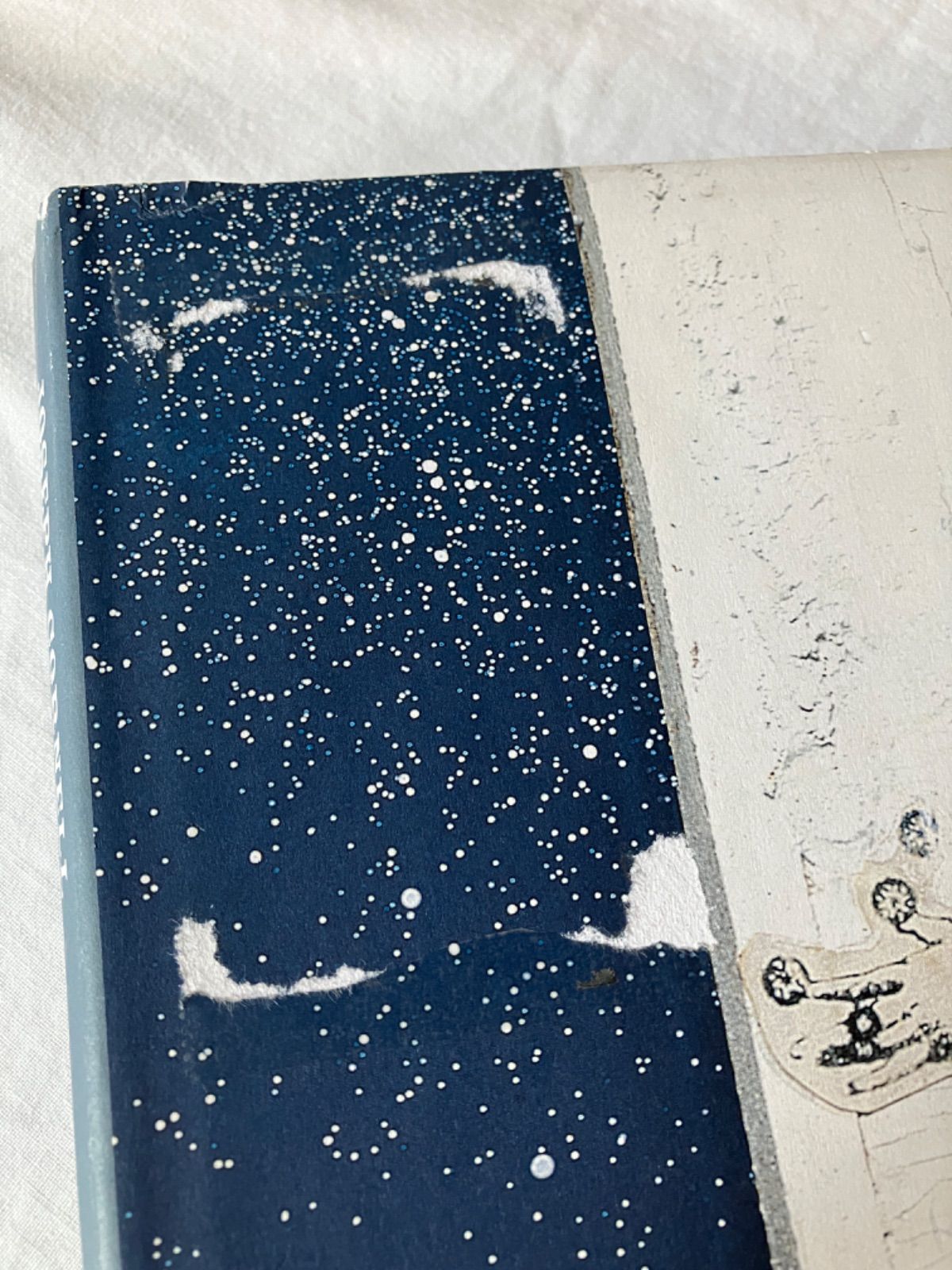 Joseph Cornell Shadowplay Eterniday ジョセフ コーネル 作品集