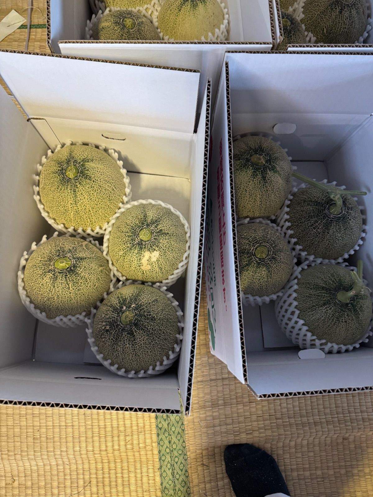 庄内砂丘特産　アンデスメロン　3L4個2箱　家庭用　訳あり 庄内砂丘特産 アンデスメロン 3L4個2箱 家庭用 訳あり - メルカリ