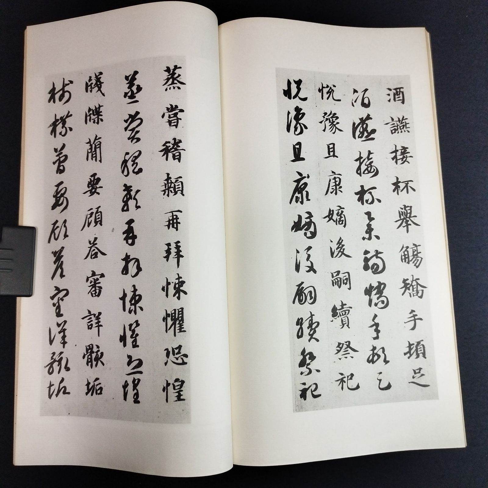 ◇智永真艸千字文 谷氏本◇釈文付き 書道 拓本 コロタイプ精印 精雅堂 昭和 アンティーク コレクション 骨董 古美術 古文書 和本 古書 - メルカリ