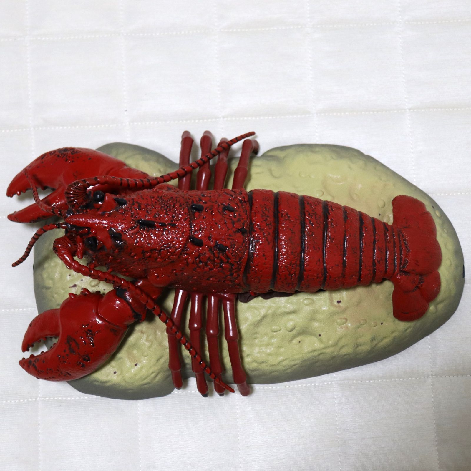 Rocky Lobster 歌って踊る シンキング・ロブスター Rocky Lobster 歌って踊る シンキング・ロブスター