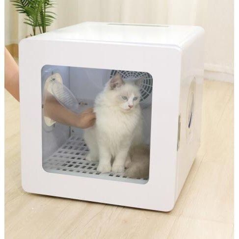 消毒