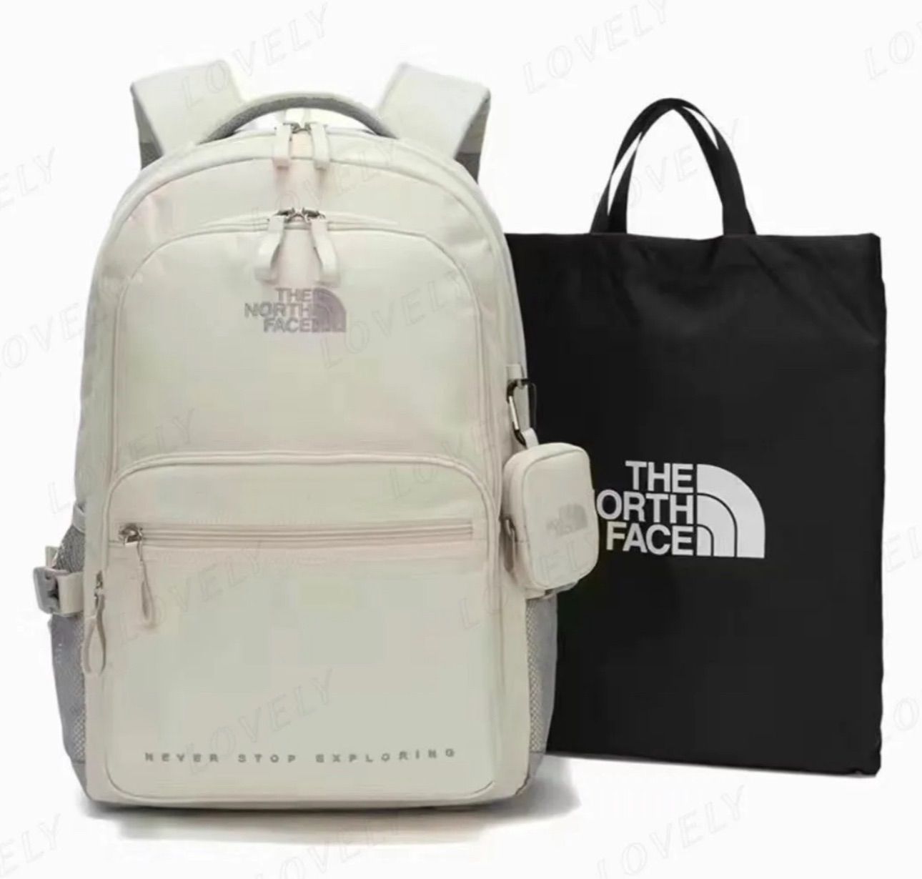 新品 人気モデル】 ザ ノースフェイス リュック 通学 30L THE NORTH FACE DUAL POCKET ポーチ付き バックパック ホワイト  メンズ レディース CW - メルカリ