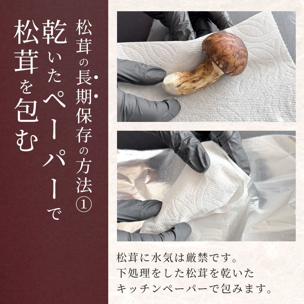 生松茸 訳あり 折れ 割れ 欠けあり 生鮮松茸 500g ホール フレッシュ