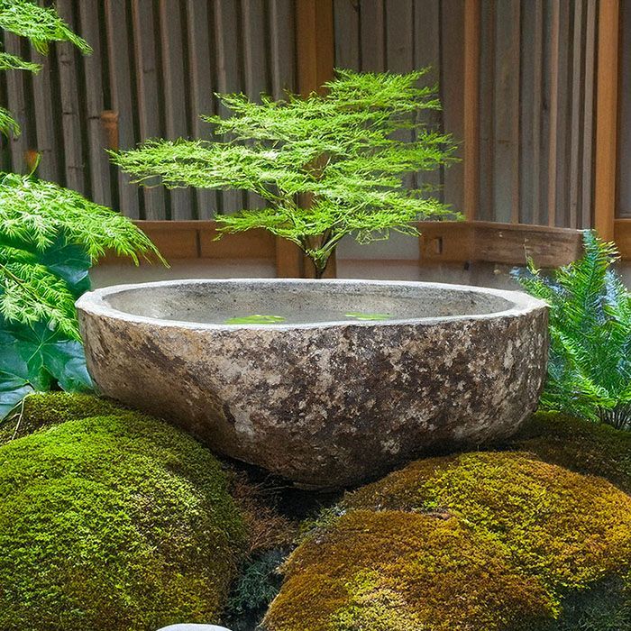 つくばい 手水鉢 水鉢 石 メダカ鉢 めだか 大型 おしゃれ 庭 蹲