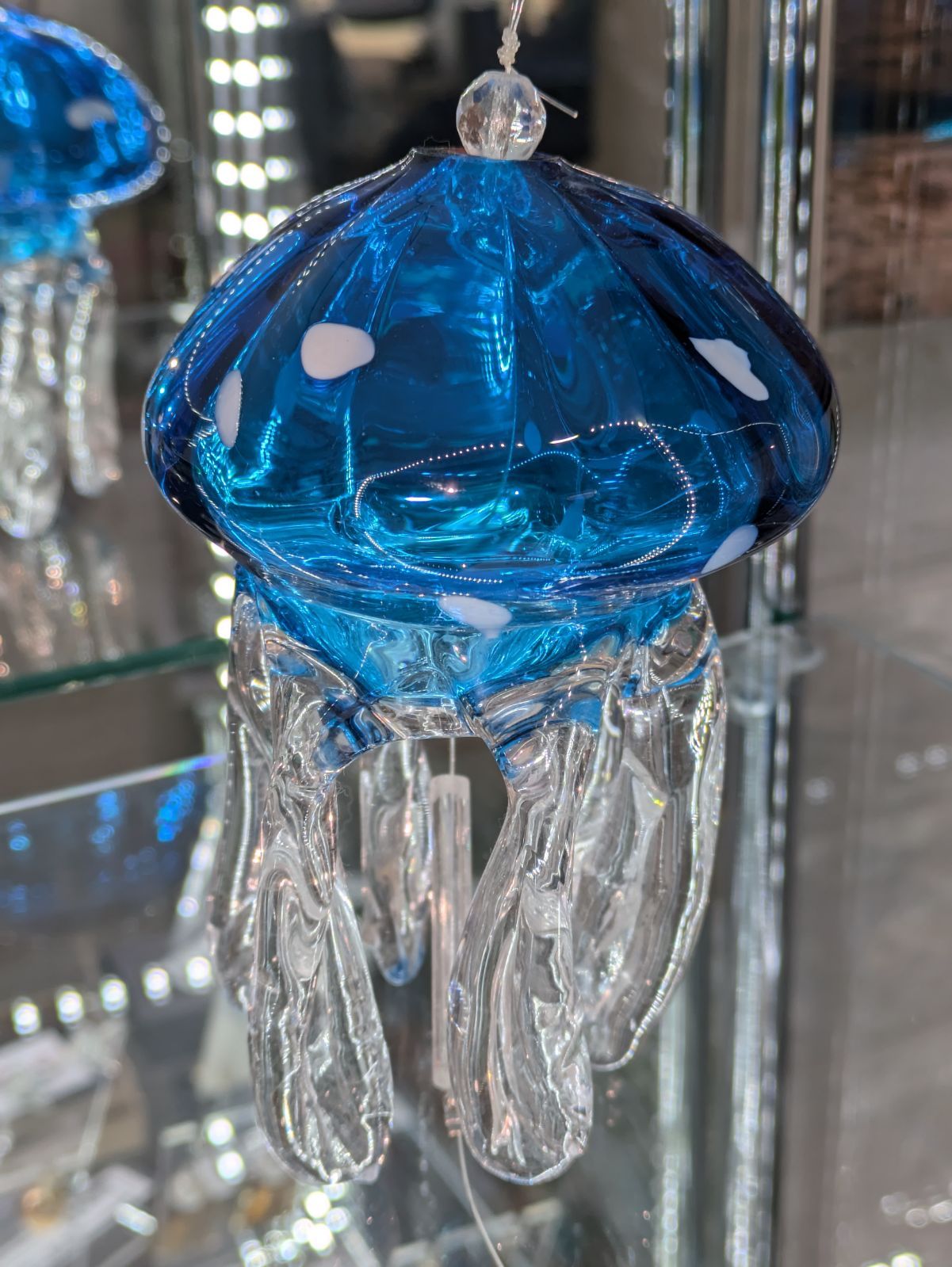 ️TAKU GLASS