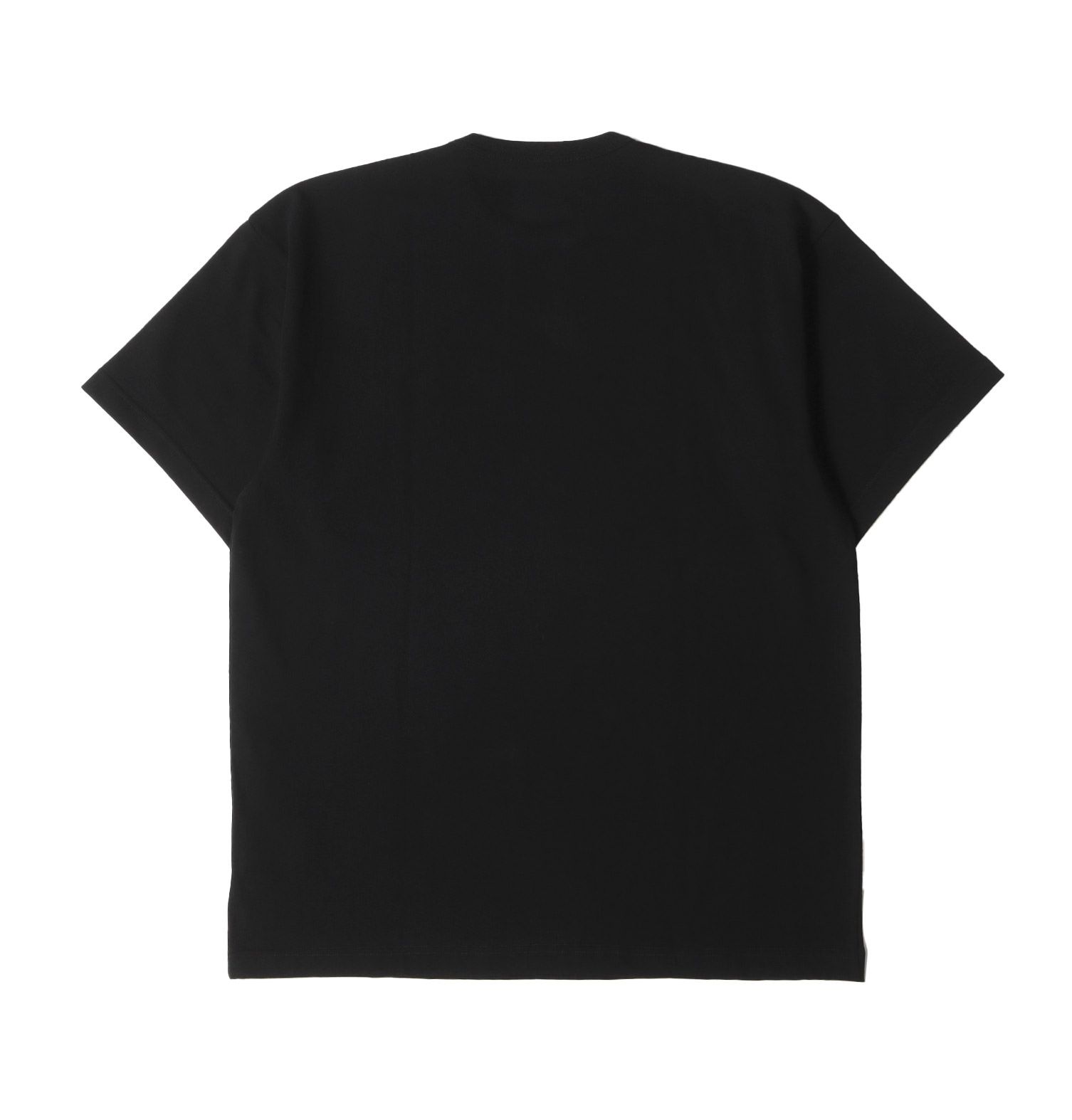 WTAPS 24SS INGREDIENTS SS TEE BLACK Lサイズ（L】WTAPS 24SS ACADEMY  