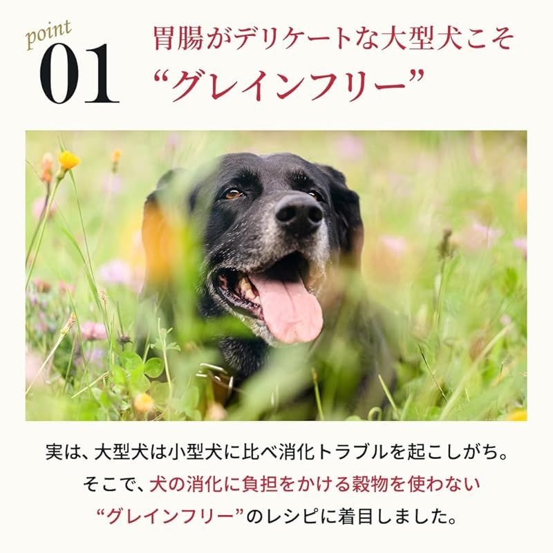 ネルソンズ ドッグフード（5kg）全犬種 全年齢 対応 中型犬 大型犬