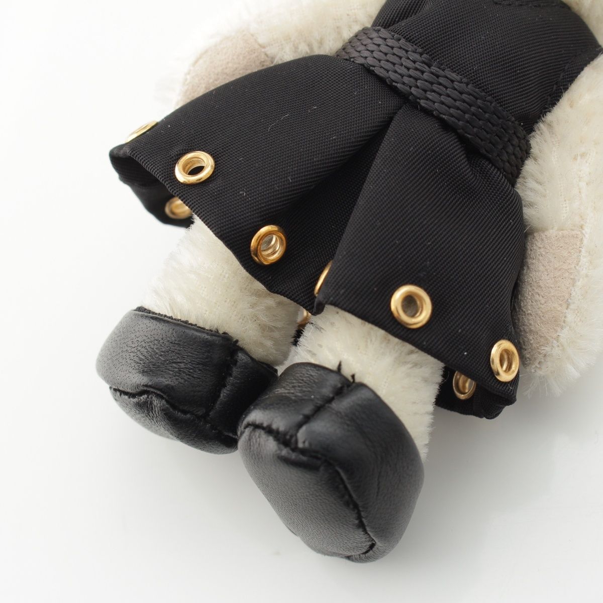 Teddy ベアトリック