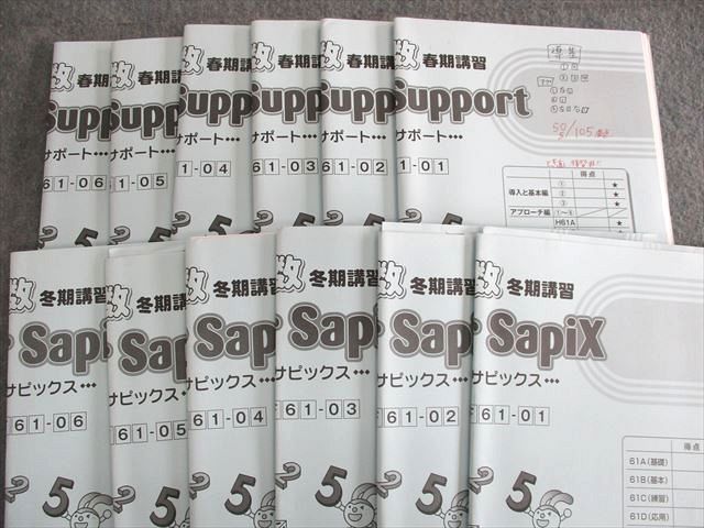 US02-039 SAPIX 小6 デイリー/スプリング/サマー/ウインターサピックス 社会 通年セット 【計49回分】 2021 00L2D
